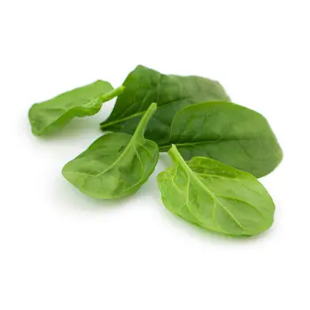 spinach (2)-2927209-83197.webp